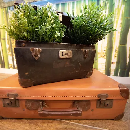 Margherite E Marzapane Fonte Nuova